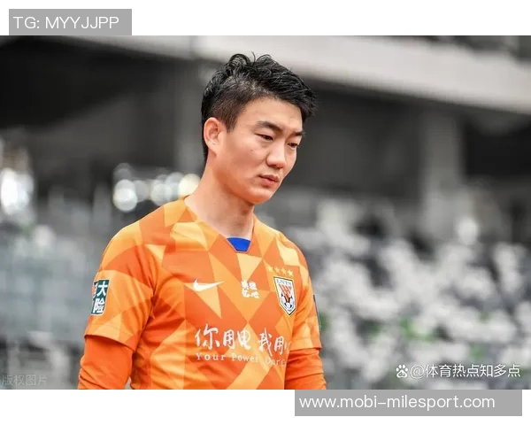 被戴琳拖欠救命钱球迷离世姑姑控诉辱骂事件引发社会关注与愤怒